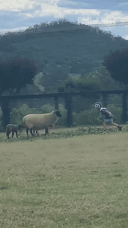 Просто гифки, всякие и&nbsp;разные