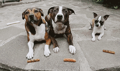 Просто гифки, всякие и&nbsp;разные