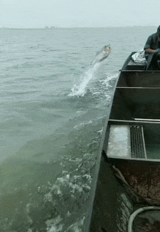 Просто гифки, всякие и&nbsp;разные