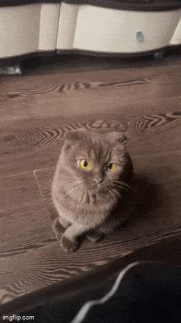 Просто гифки, всякие и&nbsp;разные