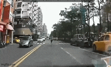 Просто гифки, всякие и&nbsp;разные