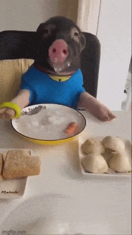 Просто гифки, всякие и&nbsp;разные