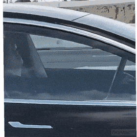 Просто гифки, всякие и&nbsp;разные