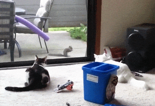 Просто гифки, всякие и&nbsp;разные