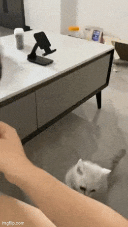 Просто гифки, всякие и&nbsp;разные