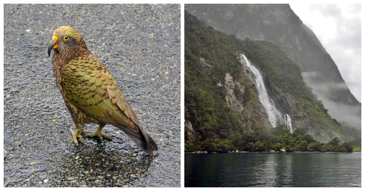 Милфорд-Саунд – гордость маори и жемчужина Новой Зеландии