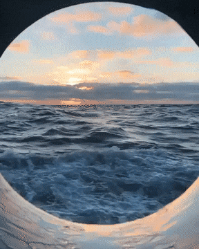 Просто гифки, всякие и&nbsp;разные