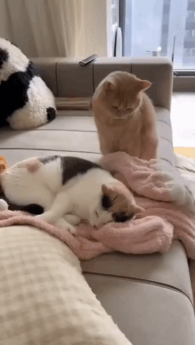 Просто гифки, всякие и&nbsp;разные