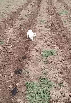 Просто гифки, всякие и&nbsp;разные