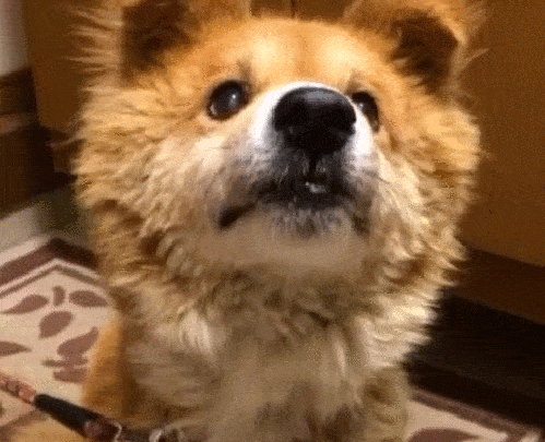 Просто гифки, всякие и&nbsp;разные