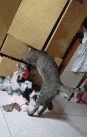 Просто гифки, всякие и&nbsp;разные