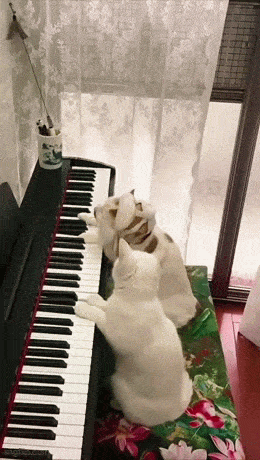 Просто гифки, всякие и&nbsp;разные