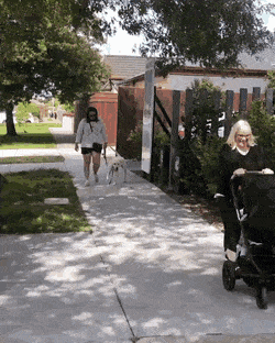 Просто гифки, всякие и&nbsp;разные