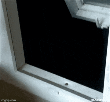 Просто гифки, всякие и&nbsp;разные