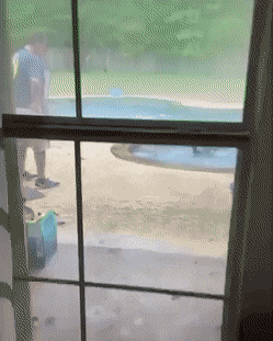 Просто гифки, всякие и&nbsp;разные