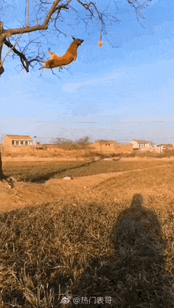 Просто гифки, всякие и&nbsp;разные