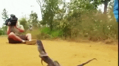 Молодец, не растерялся