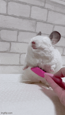 И жизнь хороша, и жить хорошо