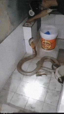 Просто гифки, всякие и&nbsp;разные