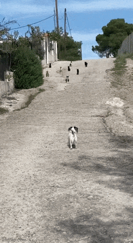 Просто гифки, всякие и&nbsp;разные