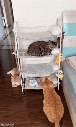 Просто гифки, всякие и&nbsp;разные