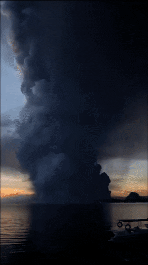 Просто гифки, всякие и&nbsp;разные