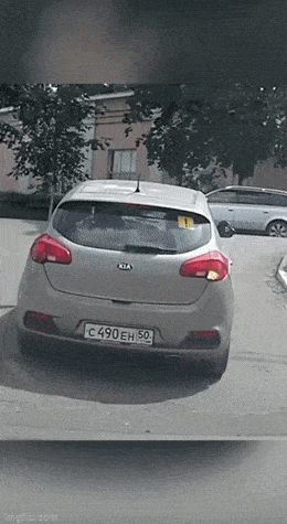 Просто гифки, всякие и&nbsp;разные