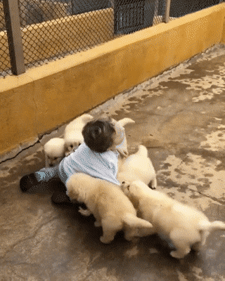 Просто гифки, всякие и&nbsp;разные