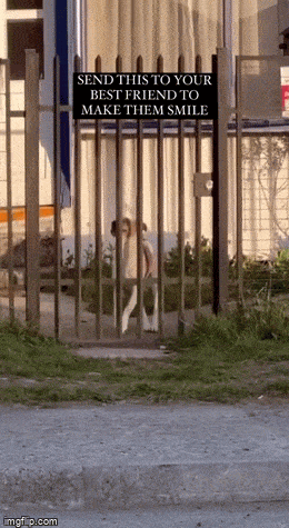 Просто гифки, всякие и&nbsp;разные