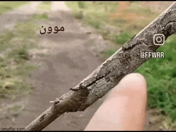 Просто гифки, всякие и&nbsp;разные