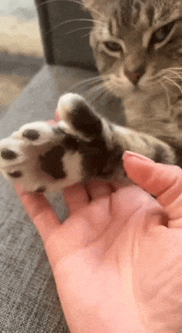 Смотри, как умею