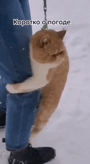 Просто гифки, всякие и&nbsp;разные