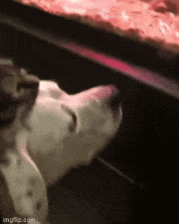 Просто гифки, всякие и&nbsp;разные