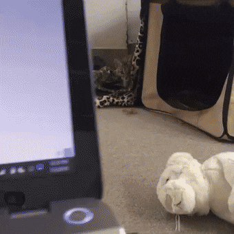 Просто гифки, всякие и&nbsp;разные