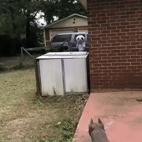 Просто гифки, всякие и&nbsp;разные