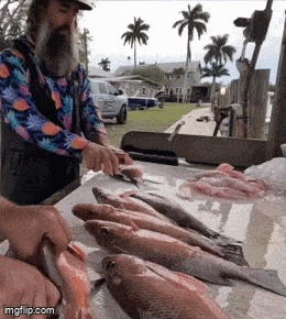 Минус одна тушка