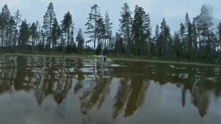 Просто гифки, всякие и&nbsp;разные