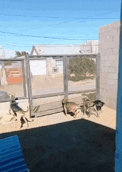 Просто гифки, всякие и&nbsp;разные