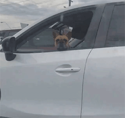 Просто гифки, всякие и&nbsp;разные