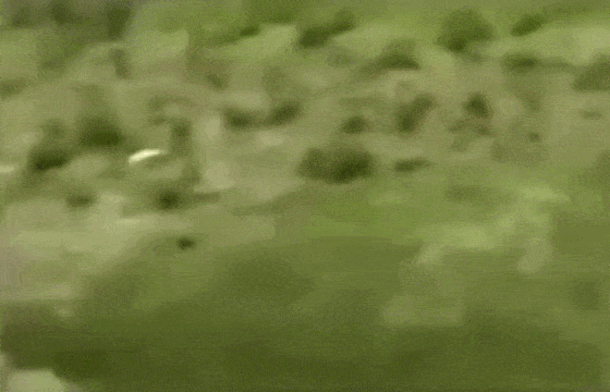 Просто гифки, всякие и&nbsp;разные