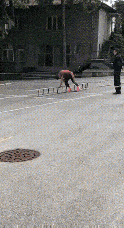 Просто гифки, всякие и&nbsp;разные