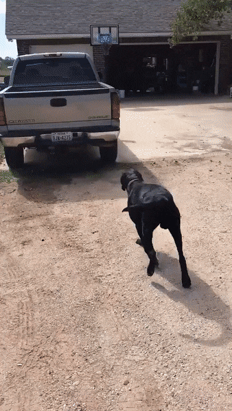 Просто гифки, всякие и&nbsp;разные