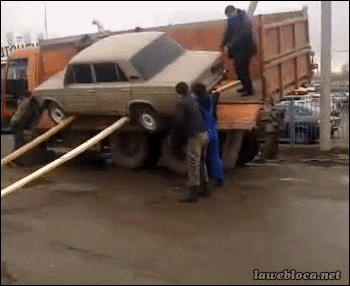 Просто гифки, всякие и&nbsp;разные