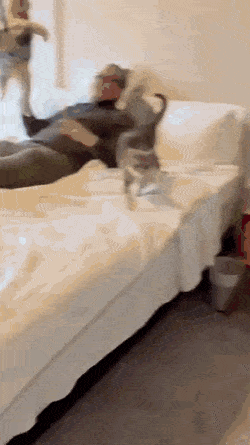 Просто гифки, всякие и&nbsp;разные