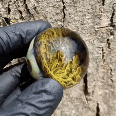 Просто гифки, всякие и&nbsp;разные