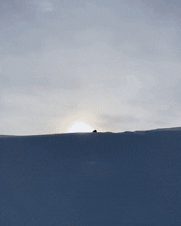 Просто гифки, всякие и&nbsp;разные