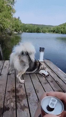 Просто гифки, всякие и&nbsp;разные