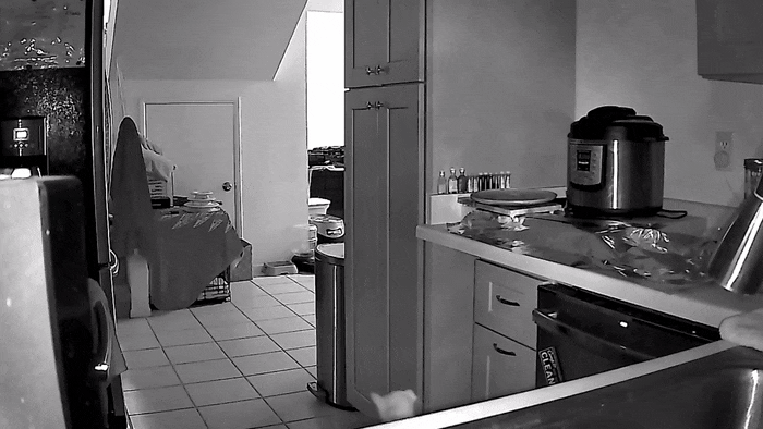 Просто гифки, всякие и&nbsp;разные