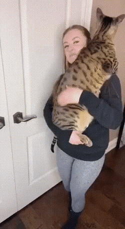 Просто гифки, всякие и&nbsp;разные