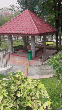 Просто гифки, всякие и&nbsp;разные